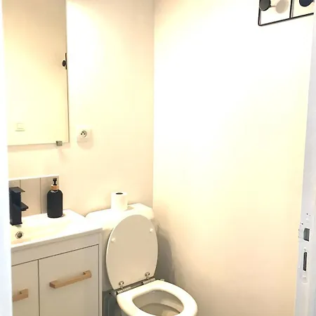 Le Castel Lily - Face Aux Parcs - Calme - Centre Vichy