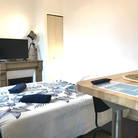 Appartamento Le Castel Lily - Face Aux Parcs - Calme - Centre