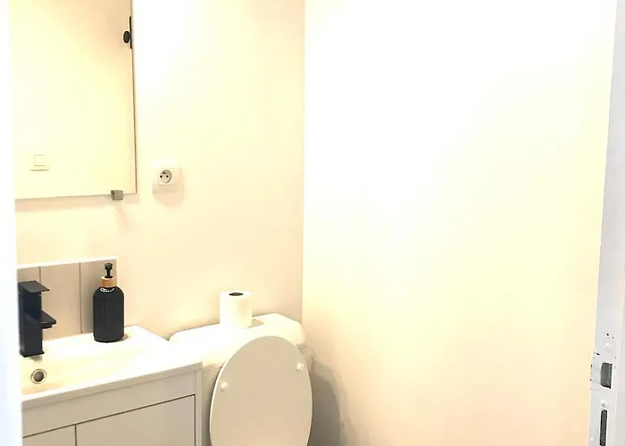 Le Castel Lily - Face Aux Parcs - Calme - Centre Виши