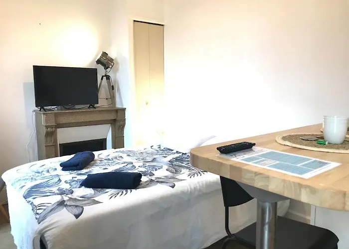 Appartamento Le Castel Lily - Face Aux Parcs - Calme - Centre