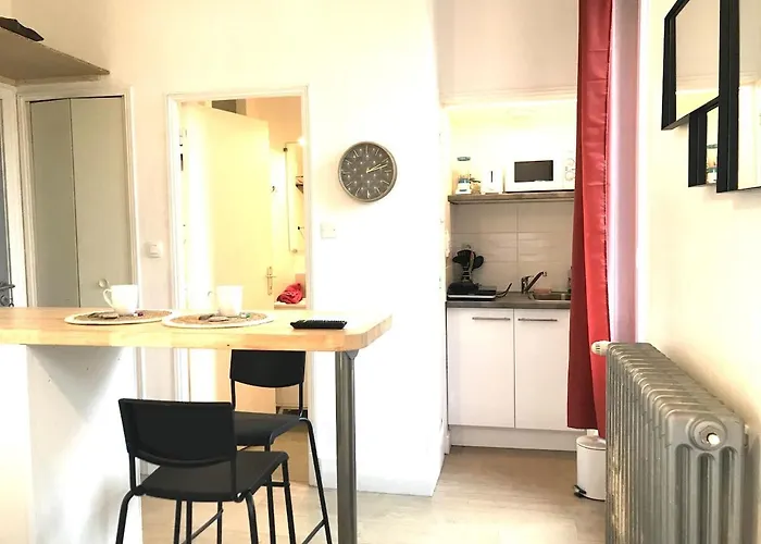 Апартаменты Le Castel Lily - Face Aux Parcs - Calme - Centre