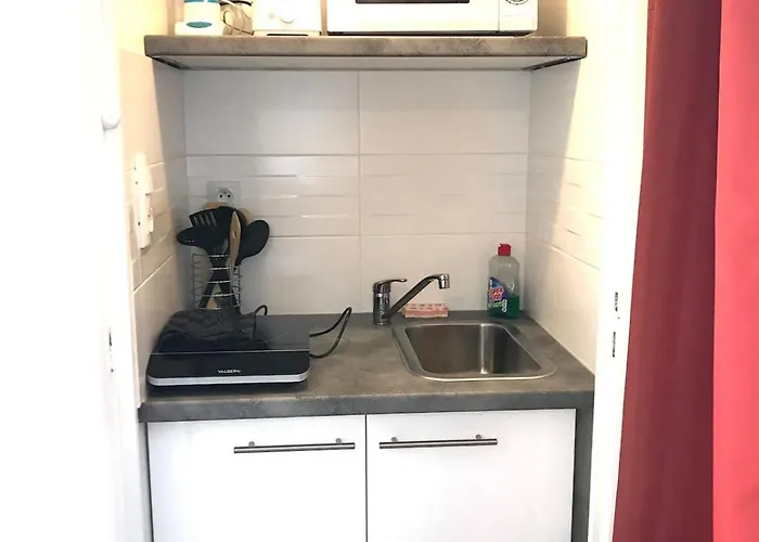 Le Castel Lily - Face Aux Parcs - Calme - Centre Апартаменты *